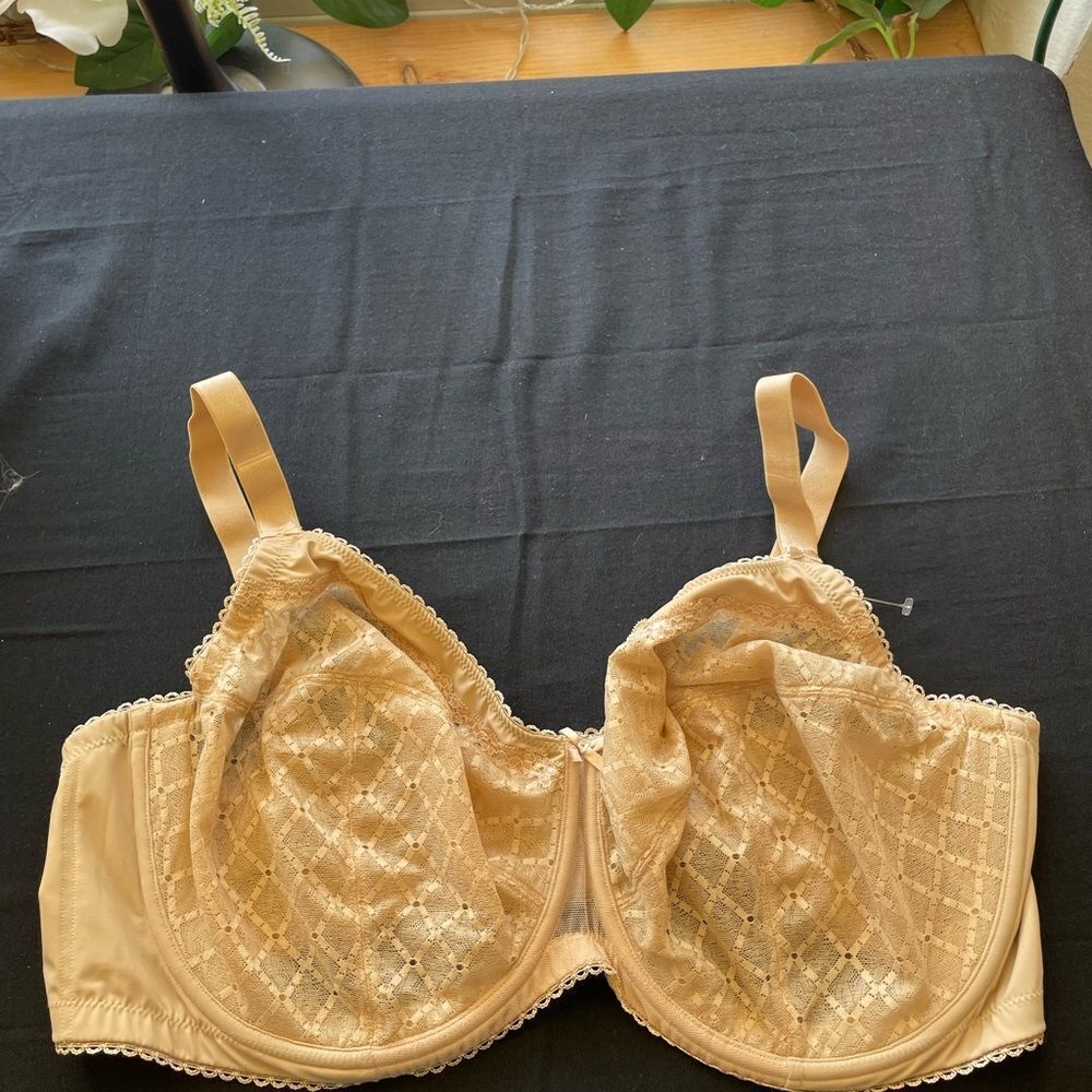 ⭐️Glamorise Bra Tan Elegance
Lace Full Coverage Full Figure
Underwire Bra‎